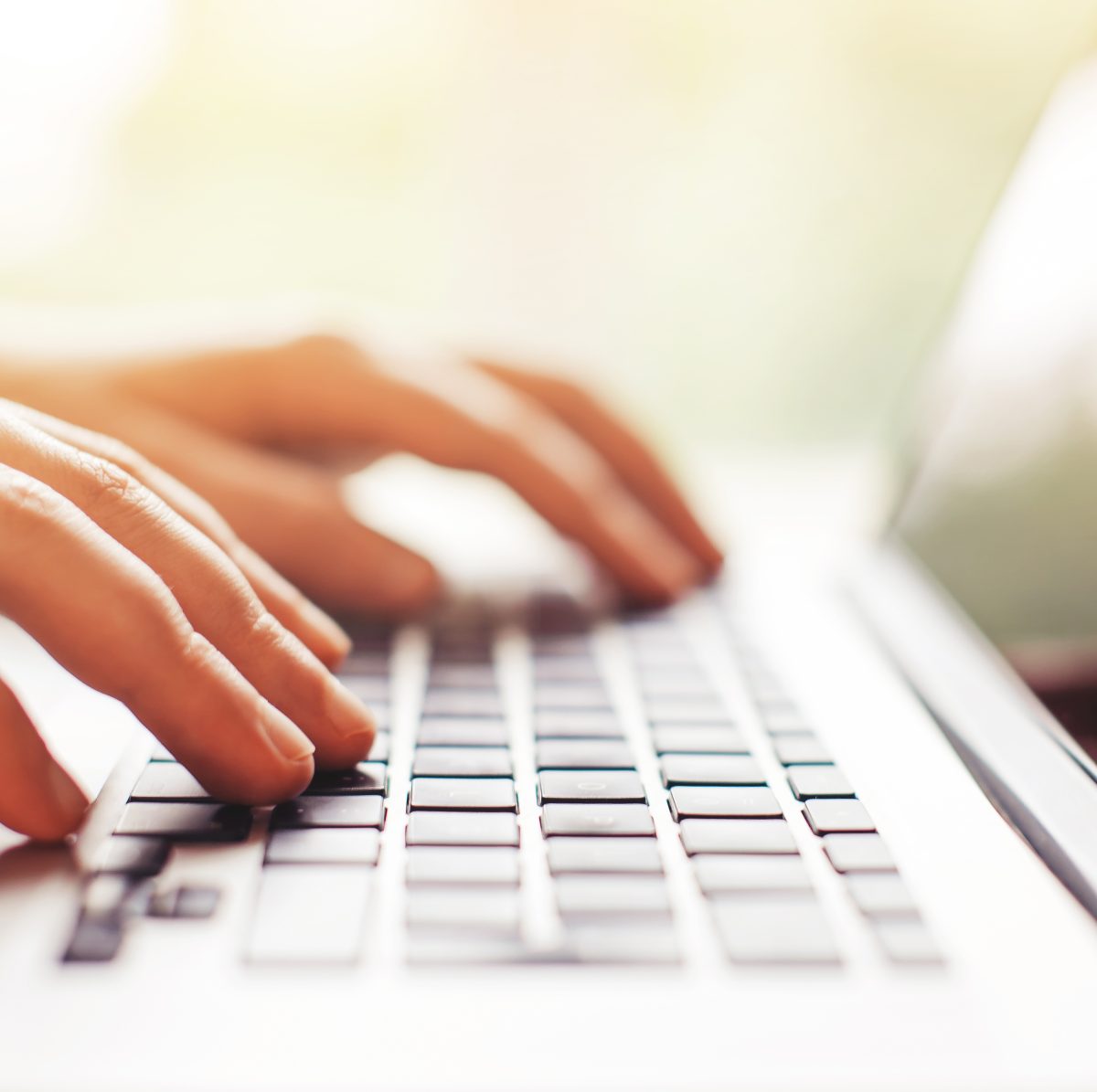 Hands over laptop keyboard, web design software on screen